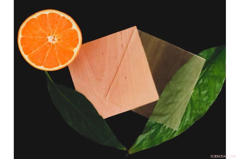 Citrus-Derived Compound Enables Fully Renewable Transparent Wood
