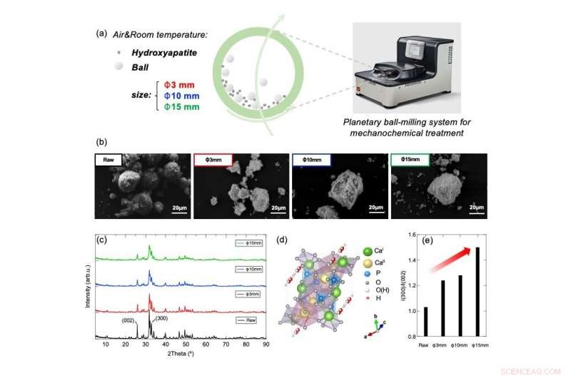 Human Bone Mineral Shows Promise in Neutralizing Toxic Organic Compounds