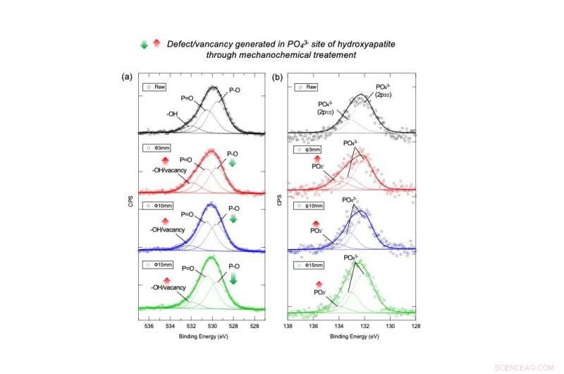 Human Bone Mineral Shows Promise in Neutralizing Toxic Organic Compounds