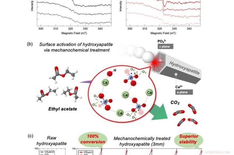 Human Bone Mineral Shows Promise in Neutralizing Toxic Organic Compounds