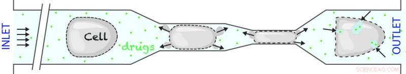 Progressive Mechanoporation: Efficient and Controlled Drug Delivery into Cells