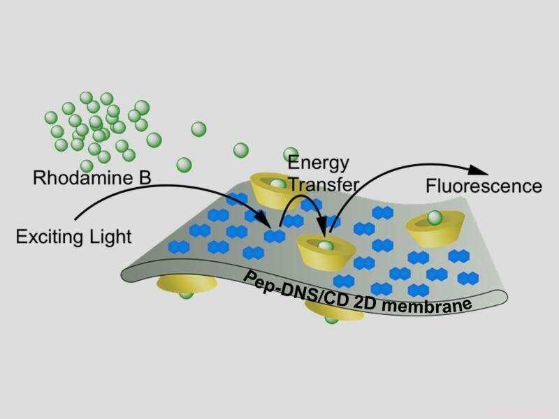 Creating Innovative Bio‑Inspired Nanomaterials for Enhanced Light Capture