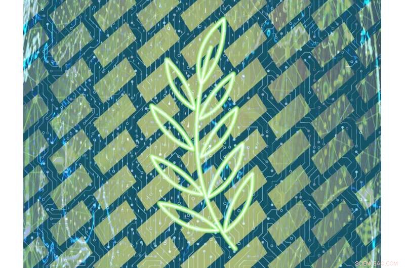 Creating Innovative Bio‑Inspired Nanomaterials for Enhanced Light Capture