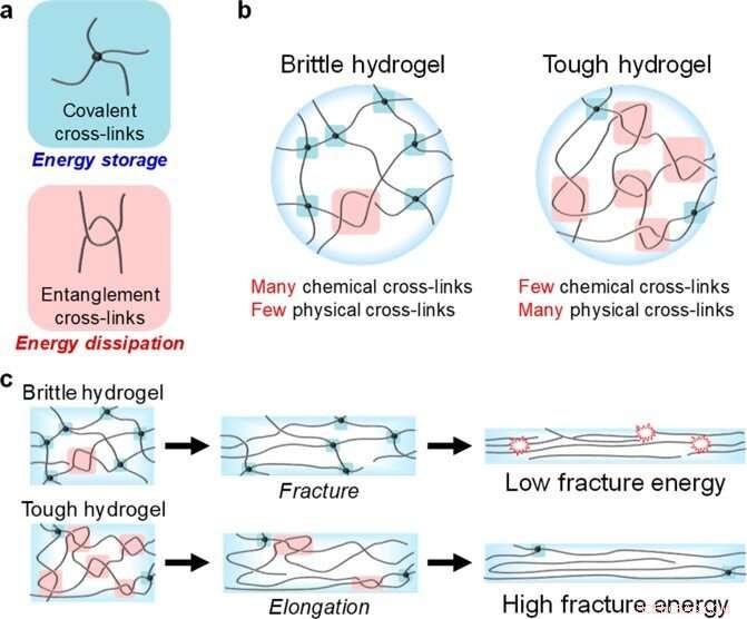 A Universal Method for Engineering Tough, Stretchable Hydrogels