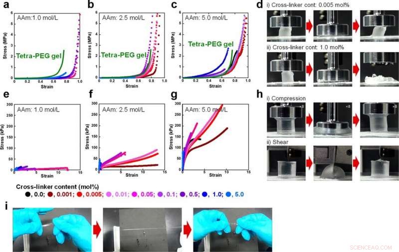 A Universal Method for Engineering Tough, Stretchable Hydrogels