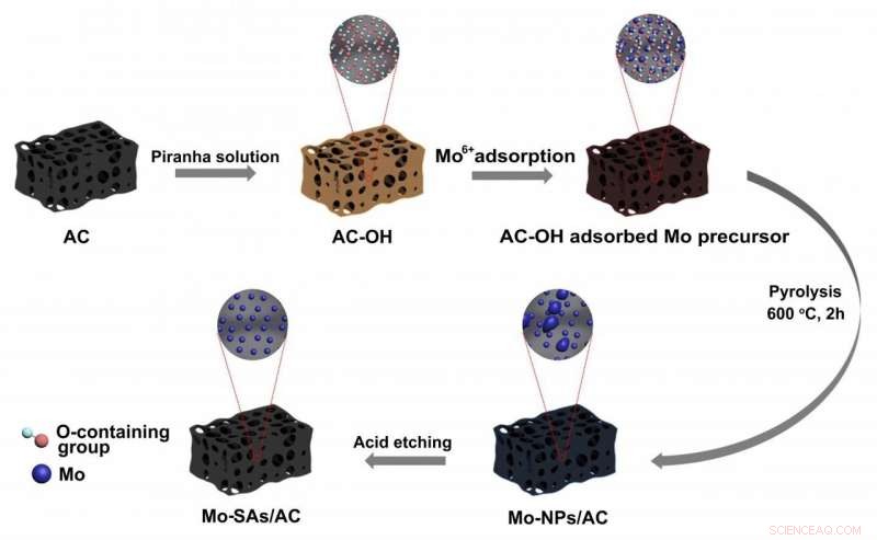 Revolutionary Mo‑SAs/AC Catalyst Enhances Ammonia Electrosynthesis