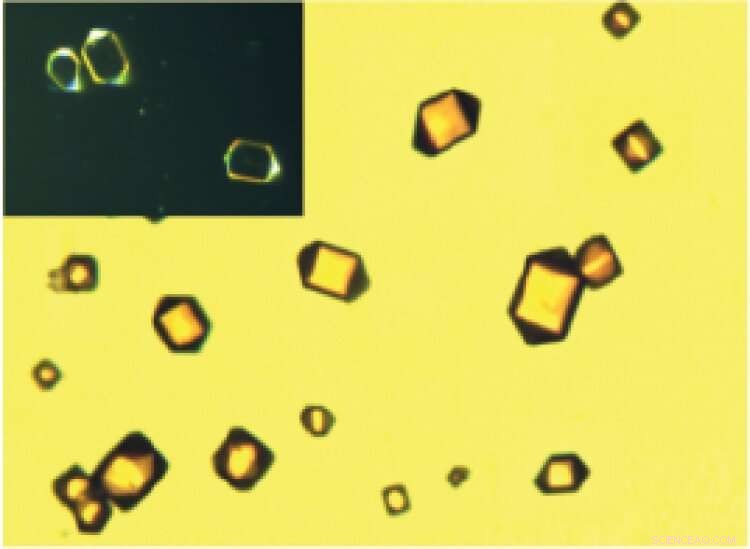 Scientists Build First Synthetic DNA‑Like Polymer, Pioneering New Biomaterial