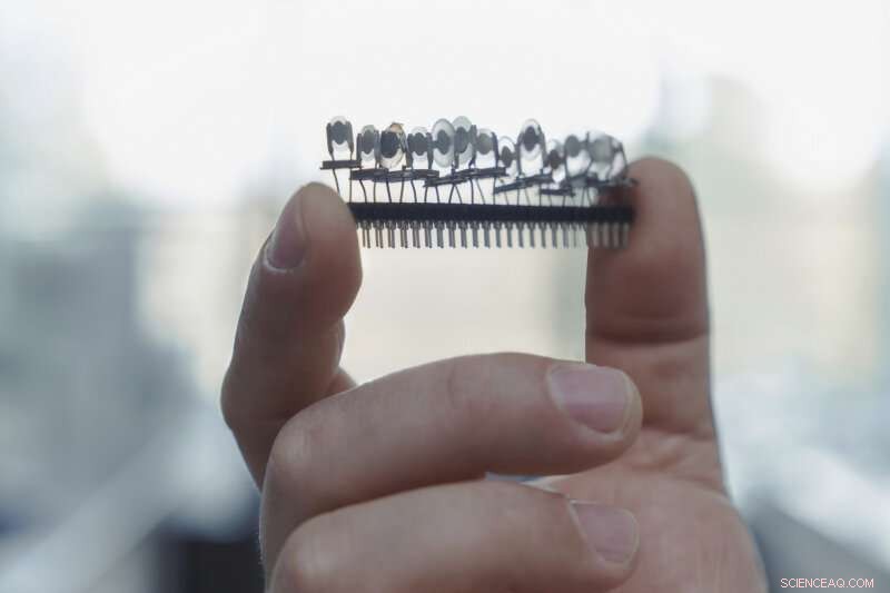 Advanced E‑nose Differentiates Mint Scents with High Accuracy