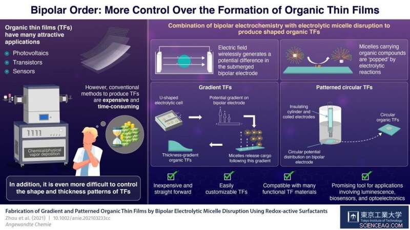 Bipolar Order: Mastering Organic Thin Film Fabrication with Electrolytic Micelle Control