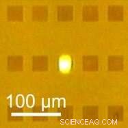 Turning CO₂ into Light‑Emitting Carbon: A Breakthrough in Sustainable Energy