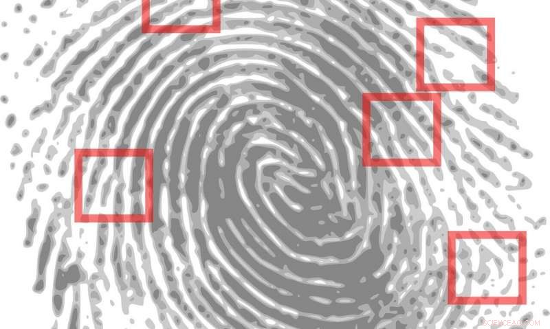 Fingerprint Evidence Uncovers Class A Drug Use at Crime Scenes – Groundbreaking Study