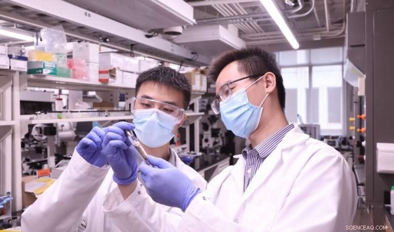 Innovative Soft Materials Designed by Research Team Enable Advanced 3D Printing