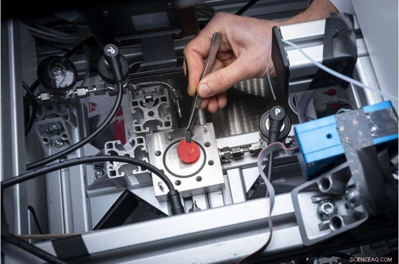 Harnessing Sunlight for Advanced Water Treatment: Eliminating Hormones and Other Pollutants