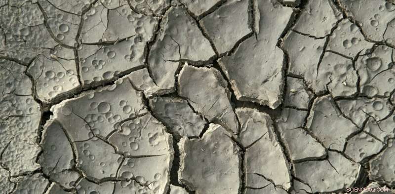 Clay: From Wine Production to Mine Waste Management – A Versatile Industry Asset