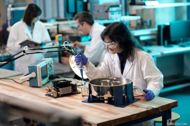 Clay: From Wine Production to Mine Waste Management – A Versatile Industry Asset