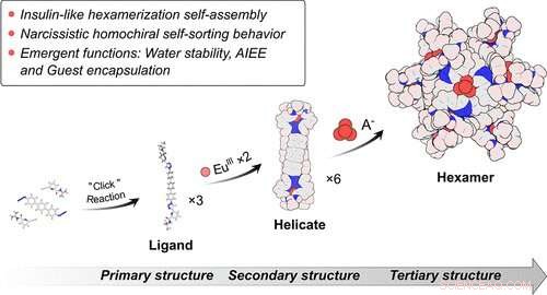 Hexameric Lanthanide-Organic Capsules: Tertiary Structures and Novel Emergent Functions