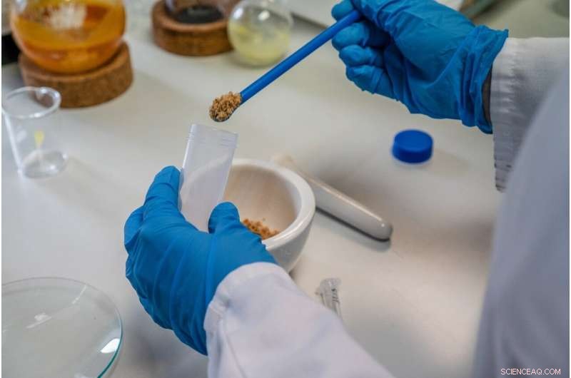 Researchers Unveil Efficient Device for Rapid Gluten Detection