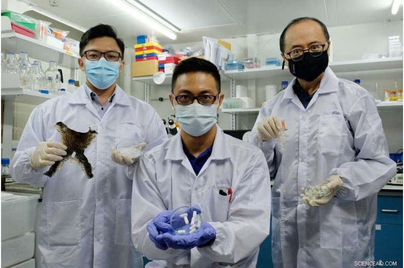 Scientists Convert Aquaculture Waste into Sustainable Biomaterial for Tissue Repair