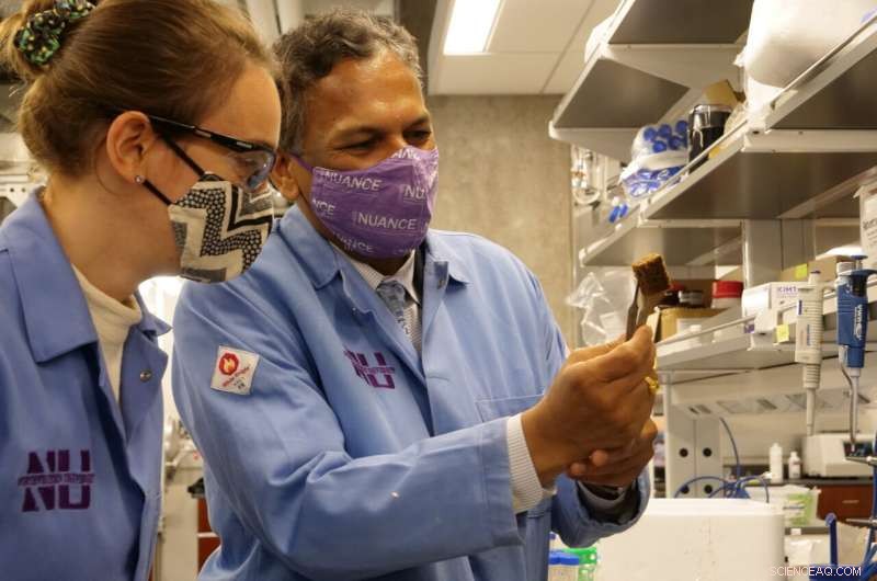 Innovative Swiss Army Knife Technology Tames Phosphate Pollution