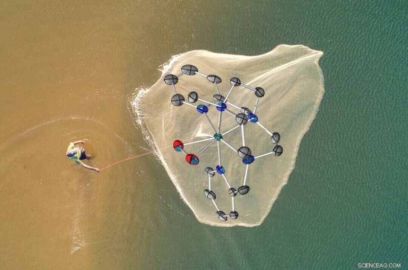 Discovering the Elusive Missing Link in Water Oxidation