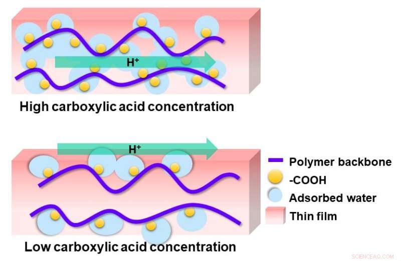 New Polymer Pathways for Protons May Unlock Cleaner Fuel Technologies