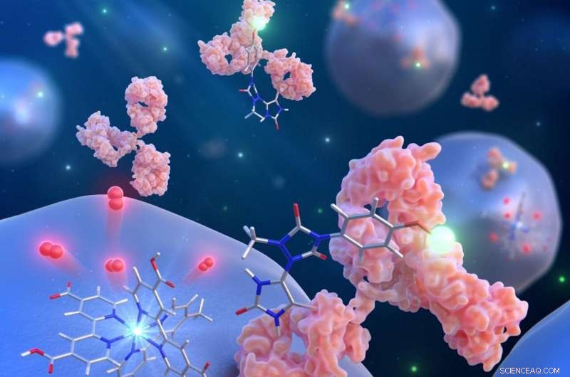 Nanometer-Scale Proximity Labeling of Histidine Residues Using Singlet Oxygen: A Novel Chemical Approach