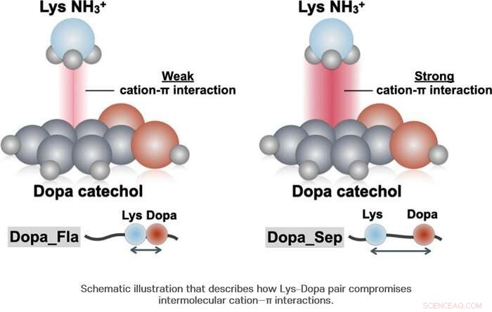 Unveiling the Secret Behind Mussels’ Remarkable Underwater Adhesion