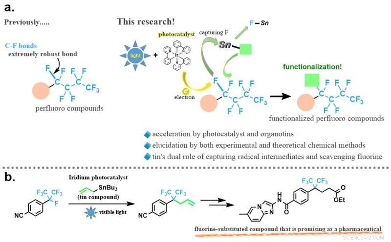 Photocatalytic Activation of C–F Bonds with Tin: A Breakthrough Regioselective Transformation