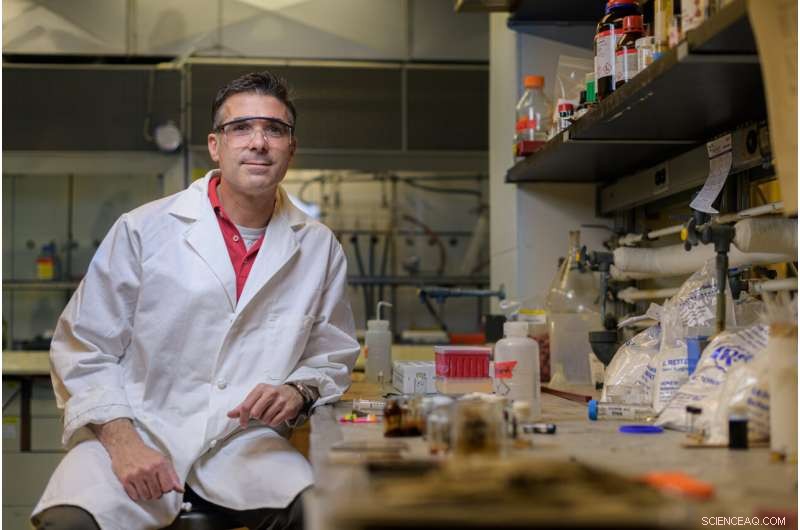 Exploring Shellfish Secrets to Create Strong, Eco‑Friendly Adhesives