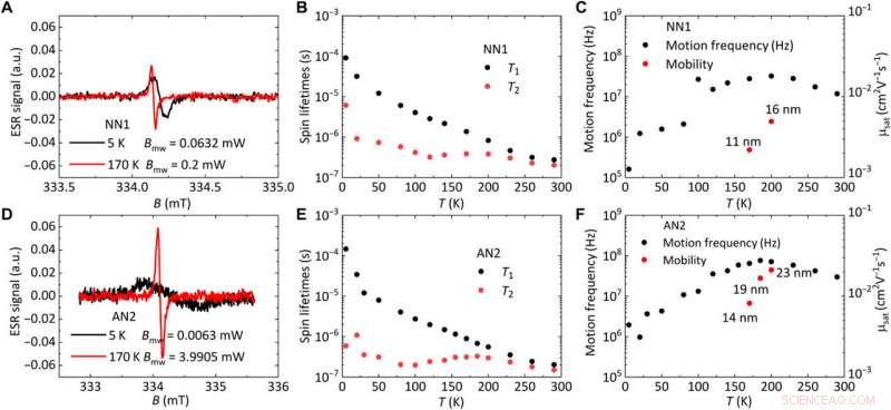 Advanced Charge Transport in Rigid‑Rod Conjugated Polymers