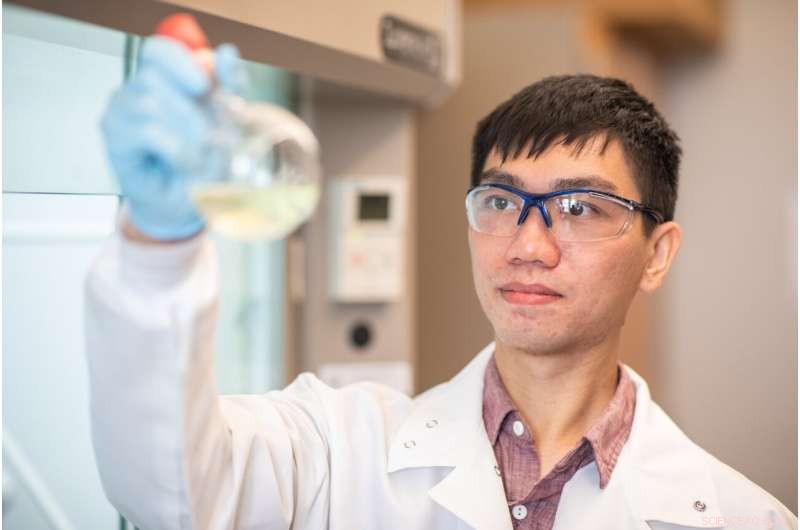 Harnessing Light‑Responsive Hydrogels with Nanomaterials for Advanced Thermo‑Control Applications