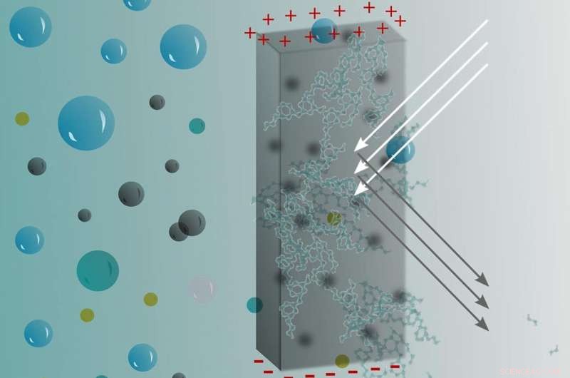 From Wood Waste to Smart Hydrogels: NC State Innovates Responsive Materials
