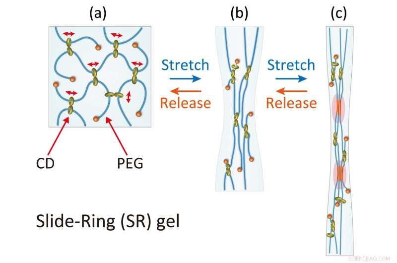 Biocompatible Hydrogels Rapidly Recover from Mechanical Stress