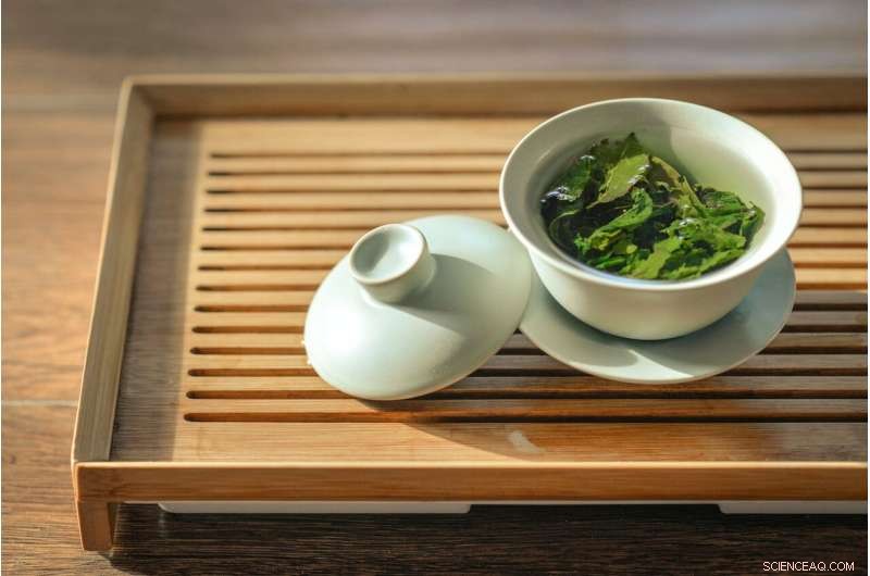 Swansea University Study Explores Green Tea s Potential as a COVID-19 Therapeutic