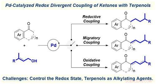 Innovative Pd-Catalyzed Redox-Divergent Coupling of Ketones with Terpenes