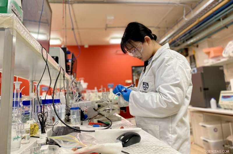 Revolutionizing Carbon Recycling: Low‑pH Electrolyzer Boosts Value of CO₂