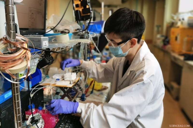 Revolutionizing Carbon Recycling: Low‑pH Electrolyzer Boosts Value of CO₂