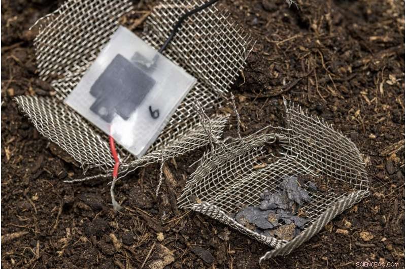 Biodegradable 3D‑Printed Paper Battery: Disposable, Sustainable Energy