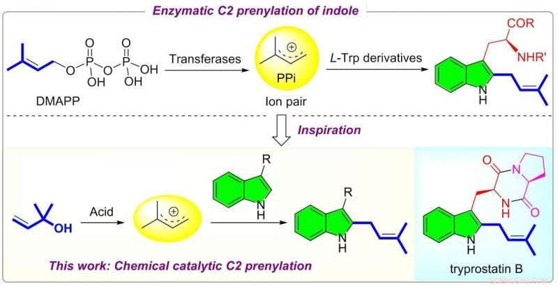 Selective Bioinspired Acid-Catalyzed C2 Prenylation of Indole Derivatives