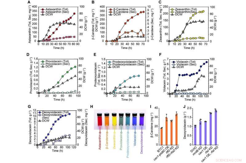 Microbial Production of the Full Rainbow Spectrum of Natural Colorants