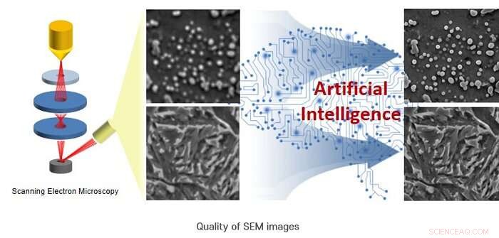Sharper SEM Images: AI-Driven Clarity & Precision