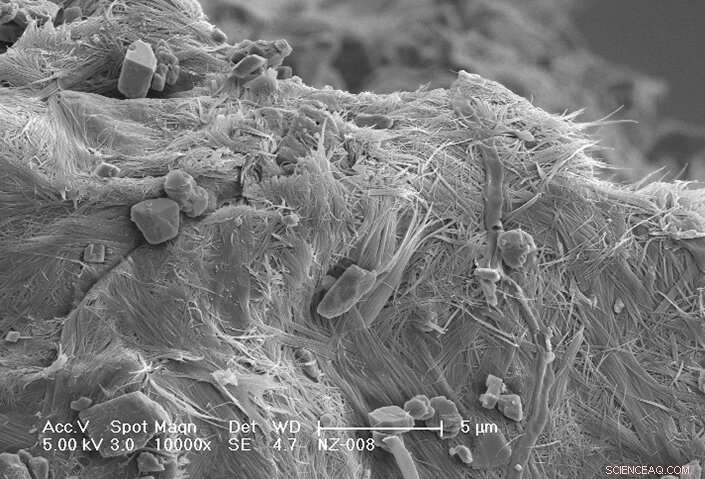 Scientists Turn to Earth s Cauldrons for Low-Carbon Cement Innovation