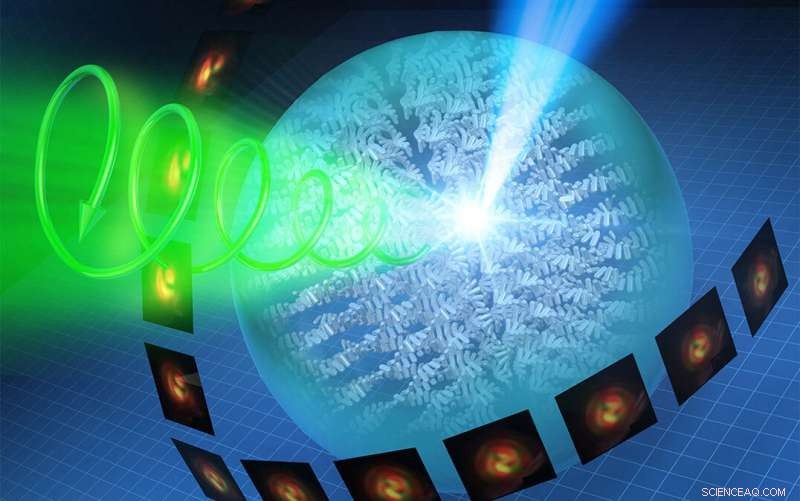 Single‑Particle Research Paves the Way for Next‑Gen Light Displays