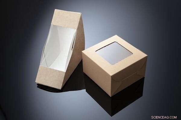 Spider‑Silk‑Inspired Material May End the Plastic Crisis