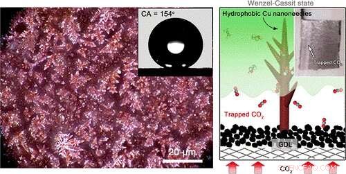 Hydrophobic Copper Catalyst Enhances CO₂ Reduction by Preventing Electrolyte Flooding
