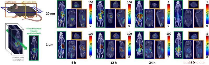 Tracking the Clearance of Plastic Micro‑Particles in Mice: An In Vivo PET‑CT Study