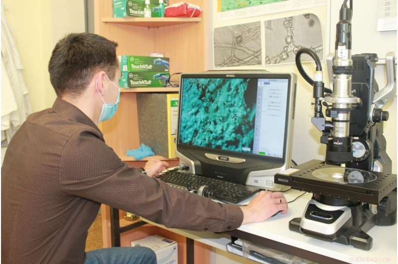 From Bath Sponge to Bio‑Based Industrial Filter: A Sustainable Innovation