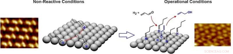 Solid Palladium Catalyst Enhances Chemoselective Hydrogenation via Molecule Layer