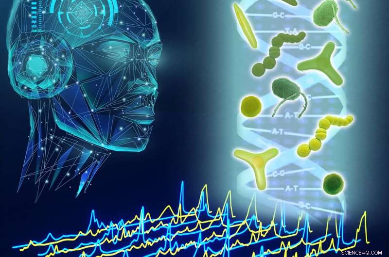 Leveraging the Ramanome Database to Identify Microalgal Cell Factories for Carbon Emission Reduction
