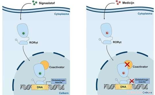 Emerging Molecules Show Promise in Treating Autoimmune Diseases